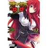 HIGH SCHOOL DXD {LN} V12