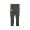 PUMA FC RB Salzburg Training Pants Men, Sport, Shadow Gray/White, XL