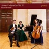 MAYSEDER:KAMMERMUSIK VOL.6/GELLEVA/GRUN/LISSY