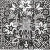 Residual Echoes - The Middle Path (LP)