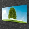 tulup.si Slika na steklu Grass nature tree pljuča 100x50 cm 2 obešalnika