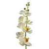 Mondex umetna orhideja plastika Mondex Viridis 85cm bela 1kos, (5000329488)