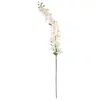 Shishi Svetlo roza cvet Delphinium, višina 130 cm