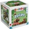 BrainBox - živali