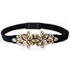 Pas Diamond - rjav KP12639