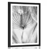 Plakat s paspartujem regrat v črnobeli varianti - 20x30 no frame