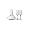 Komplet dekanterja in kozarcev Spiegelau LifeStyle Decanter