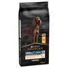 PURINA PRO PLAN Dog Large Athletic Adult Piletina - 2 x 14 g