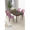 Hanah Home Set Trpezarijski sto i 4 stolice Nil, Braon-roze