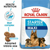 ROYAL CANIN Hrana za odvikavanje štenaca od sisanja Maxi Starter 4kg