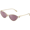 Tiffany Naočare za sunce TF 3095 6194AK