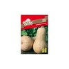 SEME ROYAL SEEDS 165 Buča Butternut Waltham