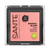 Sante rumenilo mono 01-Mellow Peach