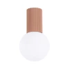Sollux SL.1733 - Kupatilsko plafonsko svetlo HALO 1xG9/8W/230V IP44 braon