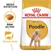 Royal Canin | Adult Poodle hrana za odrasle pse
