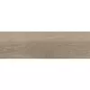 Rainforest Taupe 20x60