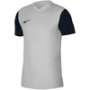 Nike Majice obutev za trening siva M DH8035052