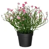 FEJKA Veštačka biljka u saksiji, unutra/spolja/šlajer roze, 9 cm