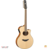 Yamaha APX700II-12 NT