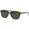 Ray-Ban Sončna očala, rjava