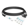 Passive copper split cable IB twin port