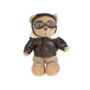 Medvedek Teddy Pilot