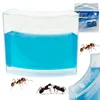 WOWO Izobraževalni gel akvarij za mravlje - Ant izobraževalni gel akvarij