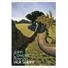 Wolf Solent