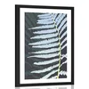 Plakat s paspartujem okrasna praprot - 20x30 no frame