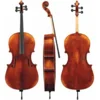 Violončelo (antični) Maestro 5 Gewa – različni modeli