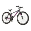 Bicikl Visitor Radiance 29 Sivo Roze