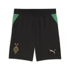 PUMA Borussia Mönchengladbach 26/27 Shorts Youth, Shop, Black/Archive Green, 5-6Y