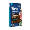 BRIT Suva hrana za pse Sensitive, ?agnjetina i pirinač, 8 kg