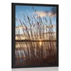 Plakat mirna reka ob vasi - 40x60 white