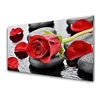 tulup.si Slika na akrilnem steklu Red rose flower 125x50 cm 4 obešalnika