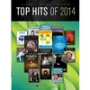 TOP HITS OF 2014 PVG