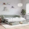 Vidaxl Izvlečna dnevna postelja s predali svetlo siva 100x200 cm žamet