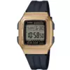 CASIO F-201WAM-9AVEF