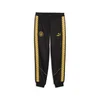 PUMA Manchester City KING Anthem Pants Men, Sport, Black/Archive Gold, L