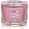 Yankee Candle Summit Stargazing votivna sveča glass 37 g