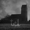 Tel - Lowlife (Limited Edition) (LP)