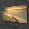 tulup.si Slika na steklu Ocean beach landscape 100x50 cm 2 obešalnika