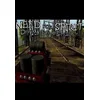 Need for Spirit: Drink & Drive Simulator Steam Key GLOBAL