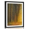 Plakat s paspartujem pot v gozdu - 40x60 no frame
