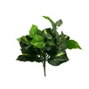 Philodendron grm 46 cm UV - 25 do 50 cm