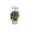 Emos LED lampa za uzgoj biljaka 5 W, 15 dioda, 235 lm, tajmer, USB, Z7901