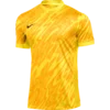 Nike Dres Dri-FIT Gardien V