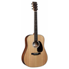MARTIN elektro-akustična kitara D-10E-02 saten/sitka + torba