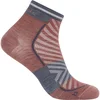 icebreaker Merino Run+ Ultralahke mini nogavice, rožičev/grafit (XL)