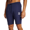 Hummel Kratke hlače hmlICONS REGULAR SHORTS